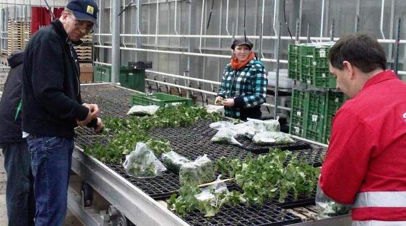 Weitere Kooperation mit Wirtschaftsbetrieb